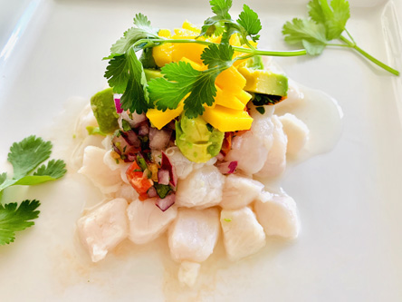 Ceviche - The Altercook